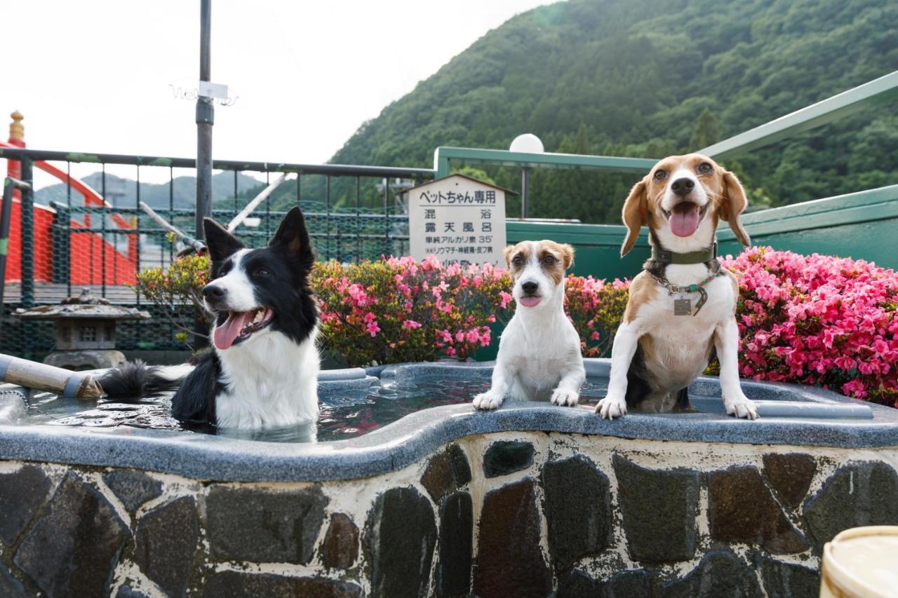 Kinugawa Kokusai Hotel Nikko Zewnętrze zdjęcie