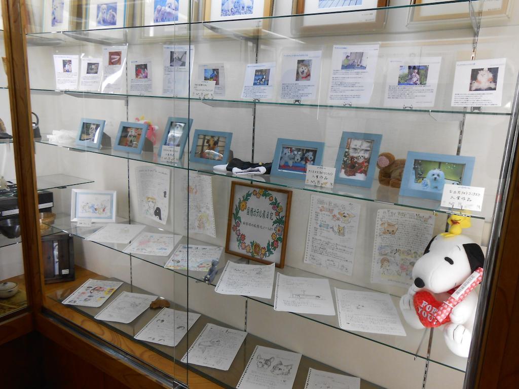 Kinugawa Kokusai Hotel Nikko Zewnętrze zdjęcie