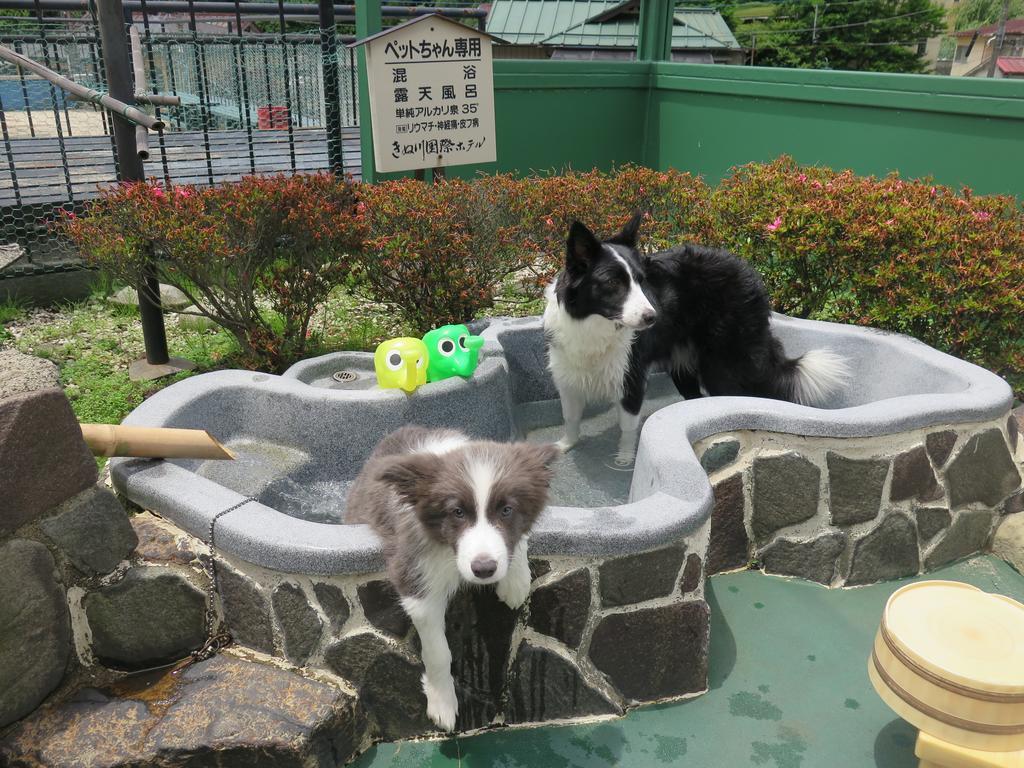 Kinugawa Kokusai Hotel Nikko Zewnętrze zdjęcie